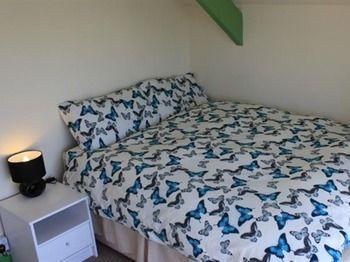 The Green House Surf Lodge New Quay Dış mekan fotoğraf
